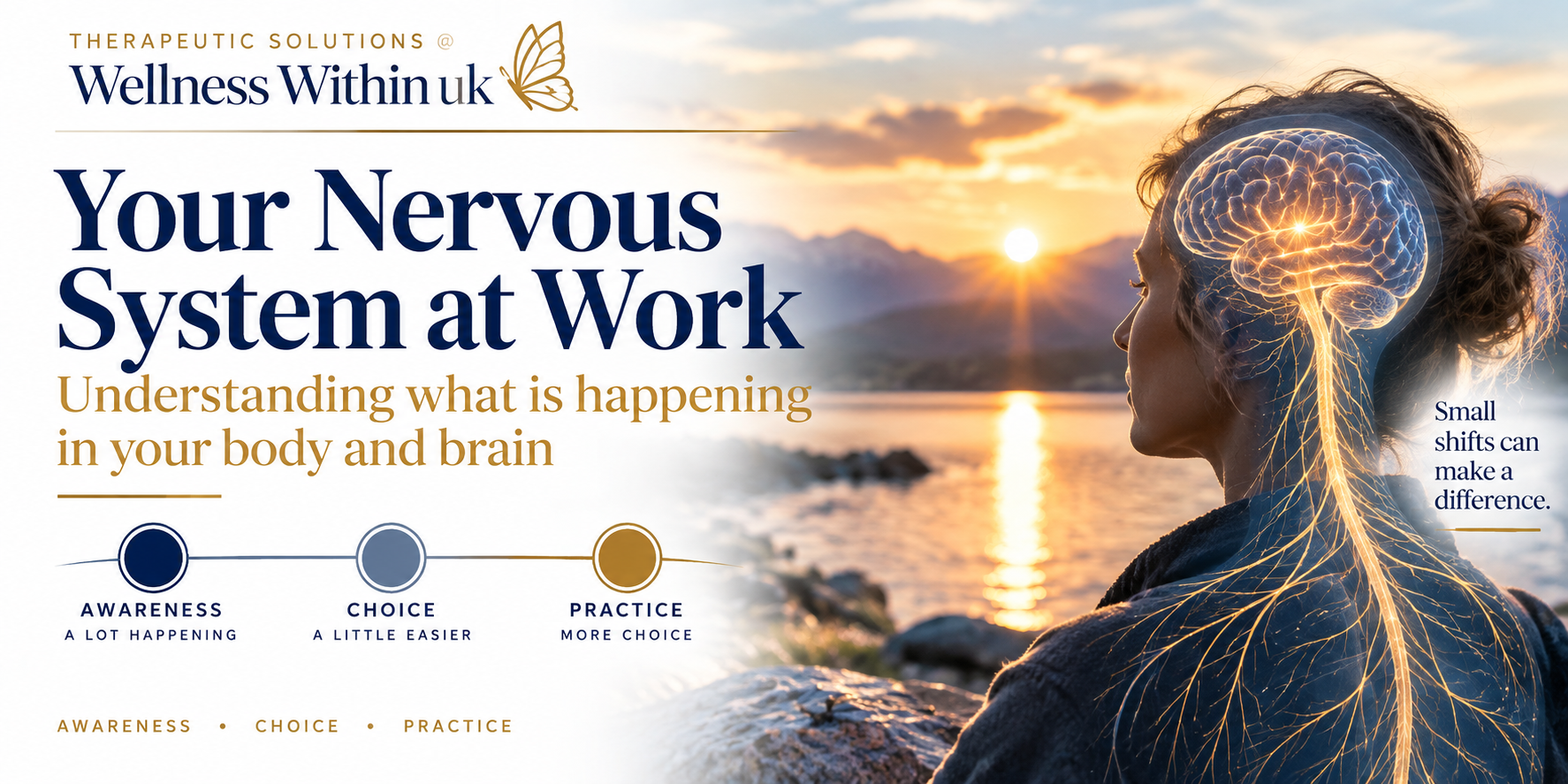 Your Nervous System at Work 